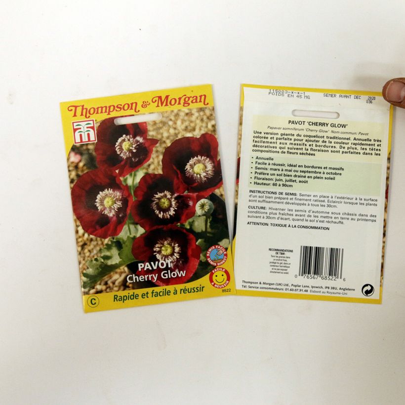 Esempio di esemplare Papavero da oppio Cherry Glow sacchetto di semi 200 come consegnato