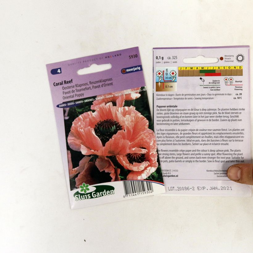 Esempio di esemplare Papaver orientale Coral Reef (semi) sacchetto di semi 400 (0,1g) come consegnato