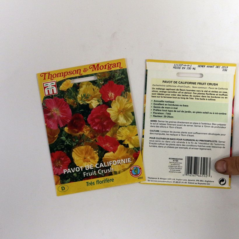 Esempio di esemplare Eschscholzia Fruit Crush - Papavero della California sacchetto di semi 150 come consegnato