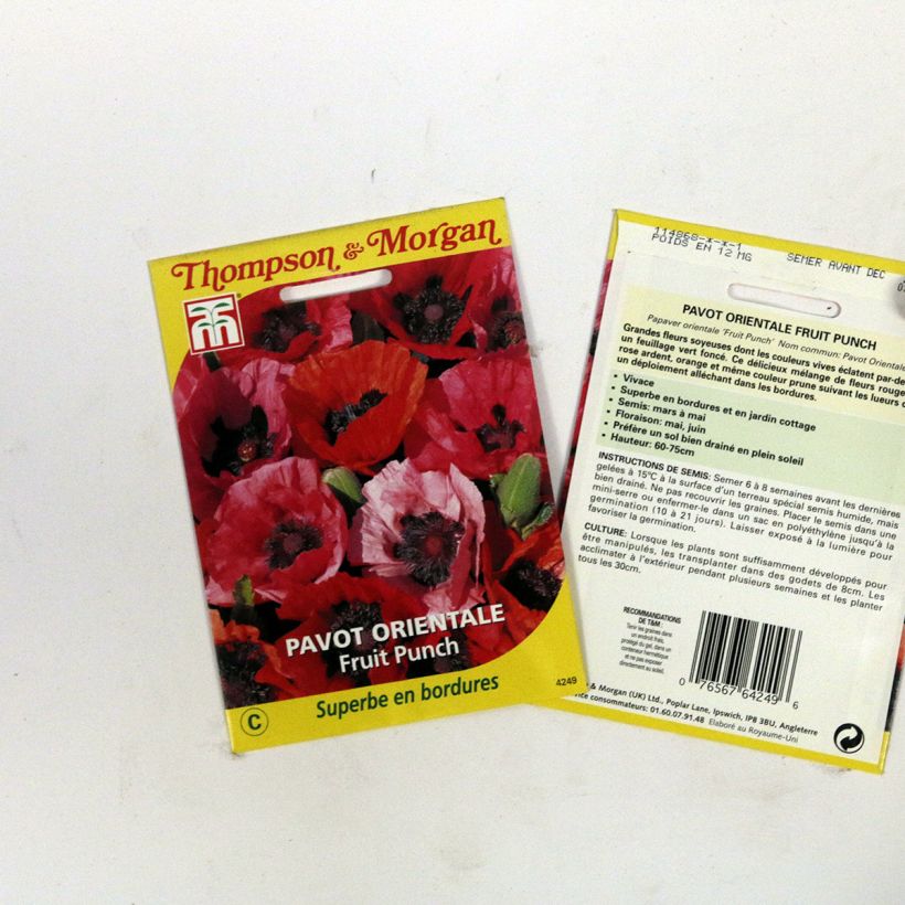 Esempio di esemplare Papaver orientale Fruit Punch sacchetto di semi 50 come consegnato