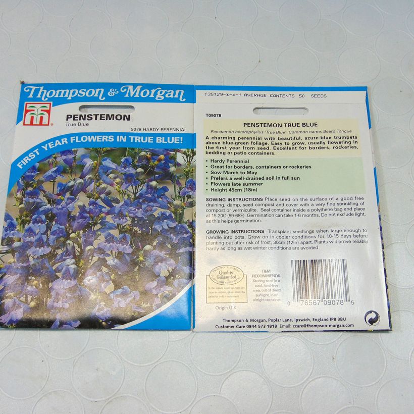 Esempio di esemplare Penstemon heterophyllus True Blue sacchetto di semi 50 come consegnato