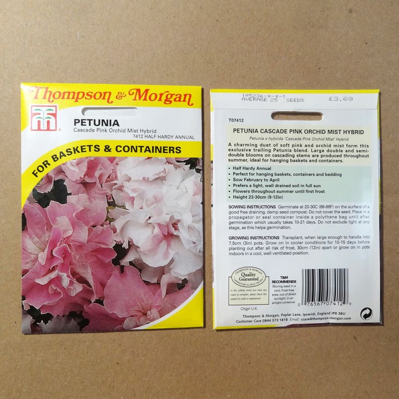 Esempio di esemplare Petunia Cascade Pink Orchid Mist sacchetto di semi 25 come consegnato