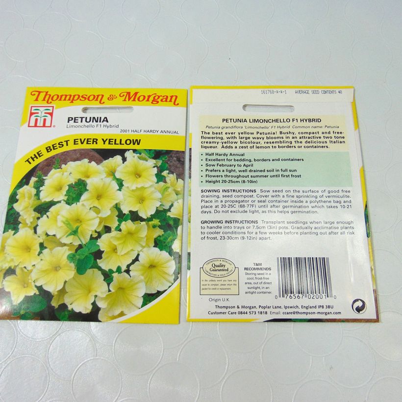 Esempio di esemplare Petunia Limoncello sacchetto di semi 40 come consegnato