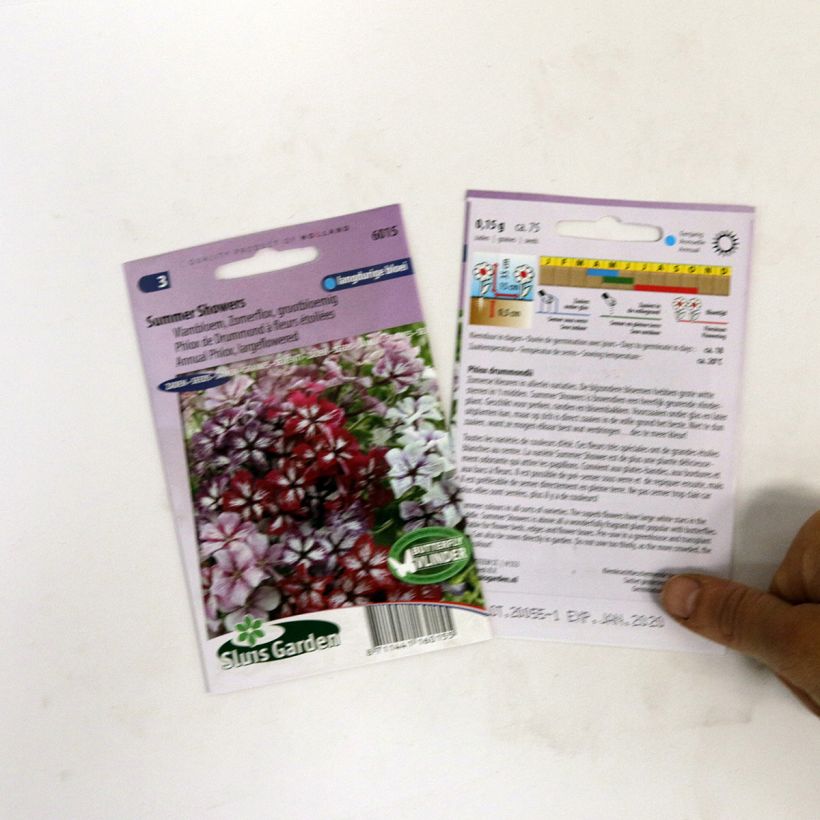 Esempio di esemplare Phlox drummondii Summer Showers Mix sacchetto di semi 75 come consegnato