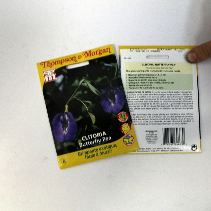 Esempio di esemplare Clitoria ternatea sacchetto di semi 20 (1,2g) come consegnato
