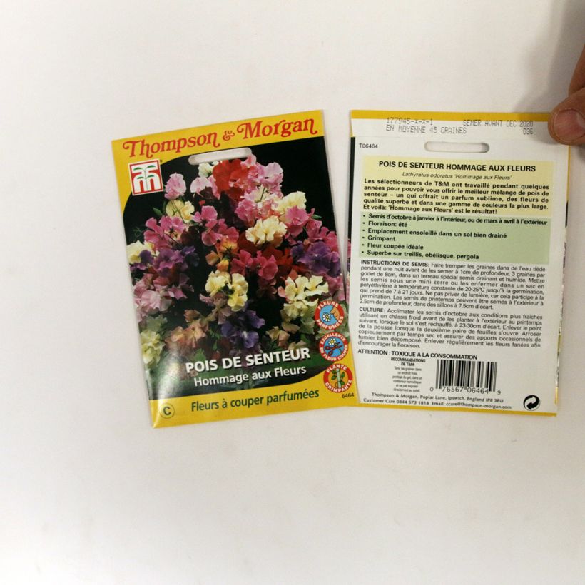 Esempio di esemplare Pisello odoroso Hommage aux fleurs sacchetto di semi 45 come consegnato