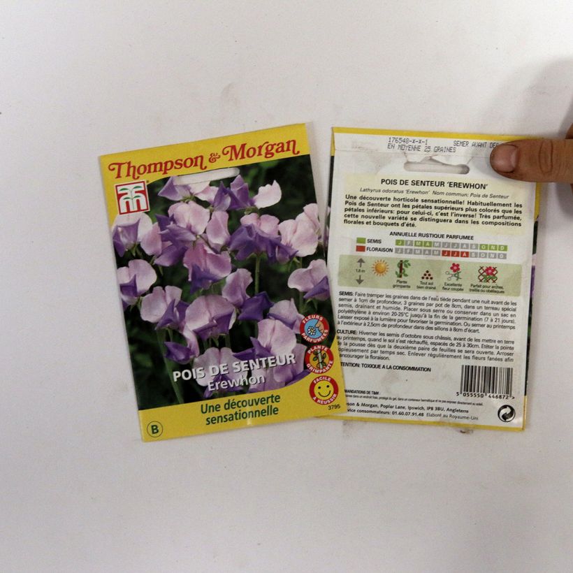 Esempio di esemplare Lathyrus Erewhon - Cicerchia odorosa sacchetto di semi 25 (2,5g) come consegnato