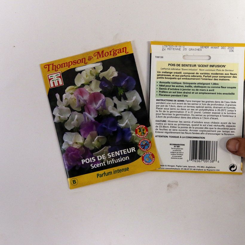 Esempio di esemplare Pisello odoroso Scent Infusion sacchetto di semi 30 come consegnato