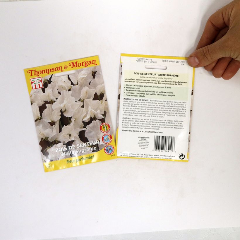 Esempio di esemplare Pisello odoroso White Suprême sacchetto di semi 25 (2,5g) come consegnato