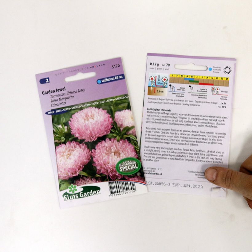 Esempio di esemplare Astro della Cina Garden Jewel Rose - Callistephus sacchetto di semi 150 (0,4g) come consegnato