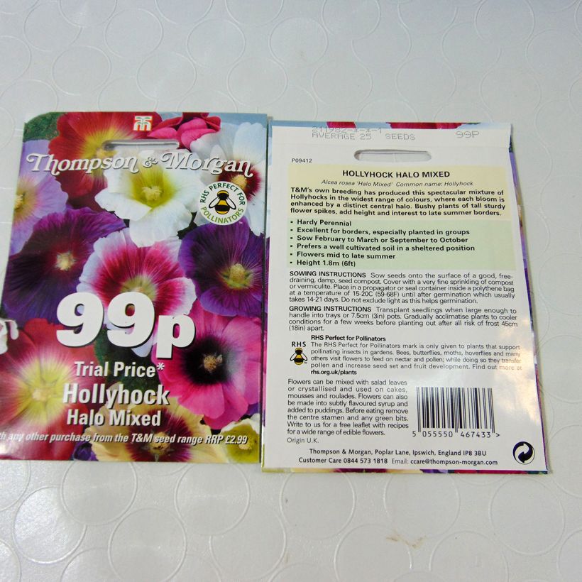 Esempio di esemplare Alcea rosea Halo Mix - Malvarosa sacchetto di semi 25 come consegnato