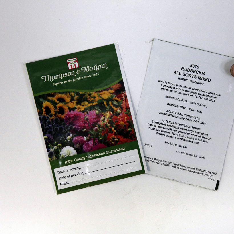 Esempio di esemplare Rudbeckia hirta All Sort Mixed sacchetto di semi 170 come consegnato