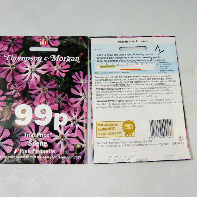 Esempio di esemplare Silene colorata Pink Pirouette sacchetto di semi 15 come consegnato