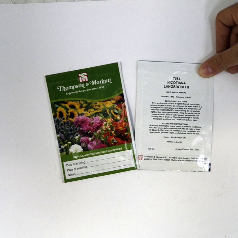 Esempio di esemplare Tabacco da fiore sacchetto di semi 500 (0,1g) come consegnato