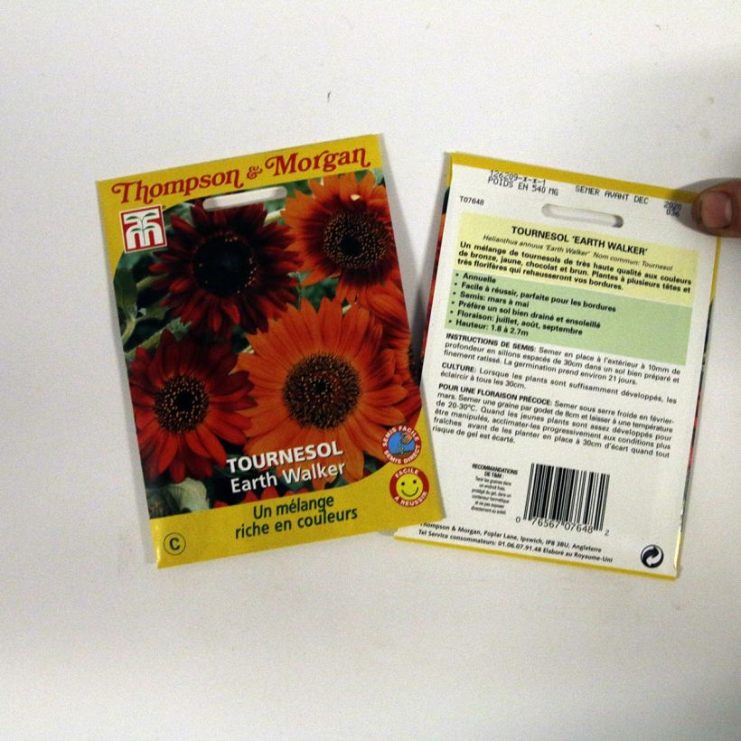 Esempio di esemplare Girasole Earth Walker sacchetto di semi da 0.95 grammi come consegnato