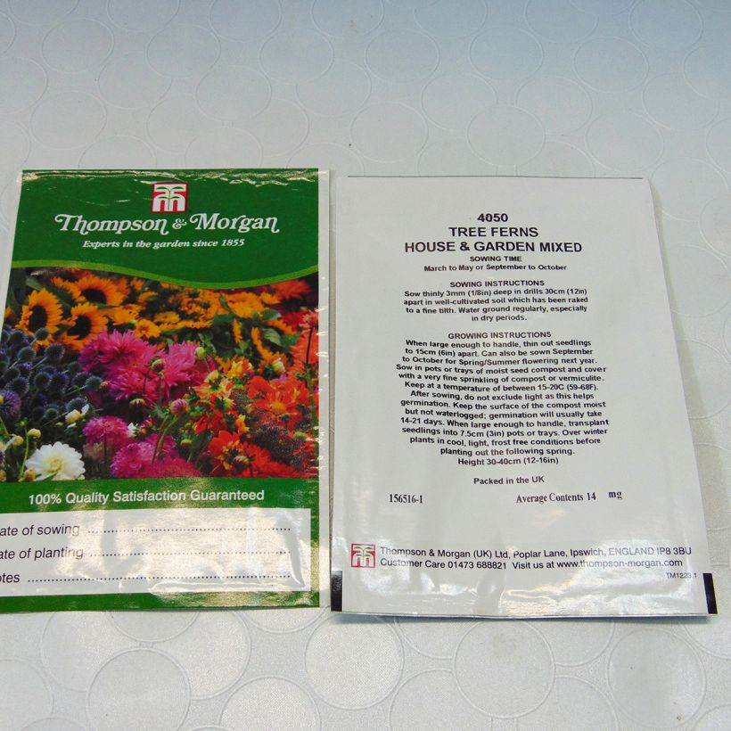 Esempio di esemplare Tree Fern House & Garden Mixed sacchetto di semi 25 come consegnato