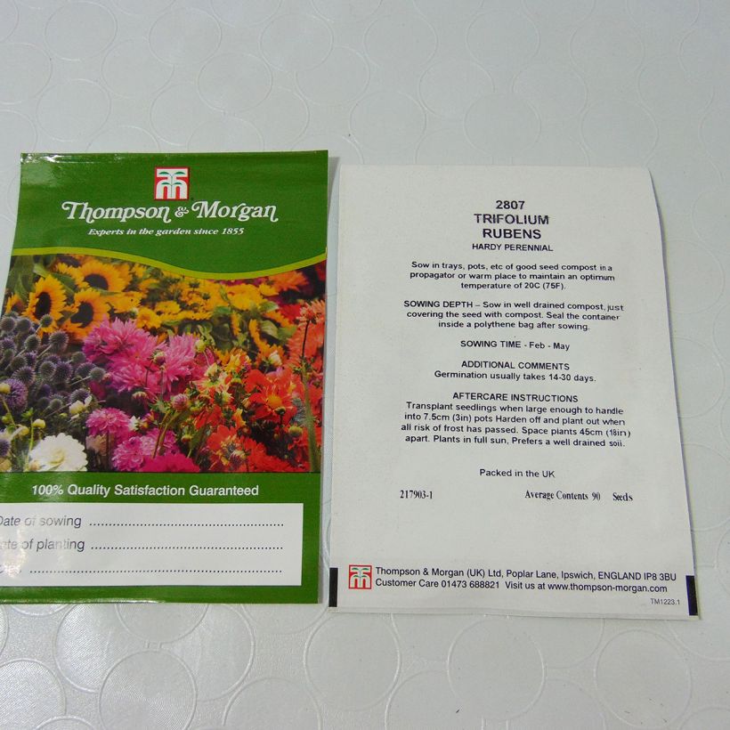 Esempio di esemplare Trifolium rubens (semi) - Trifoglio rosseggiante sacchetto di semi 100 (0,25g) come consegnato