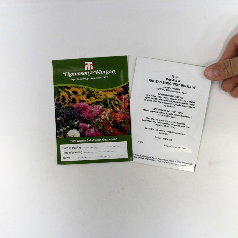 Esempio di esemplare Papavero comune Burgundy Bigalow sacchetto di semi 500 come consegnato