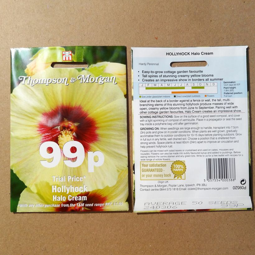 Esempio di esemplare Alcea rosea Halo Cream - Malvarosa sacchetto di semi 25 come consegnato