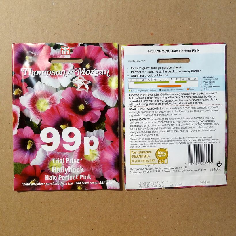 Esempio di esemplare Alcea rosea Halo Perfect Pink - Malvarosa sacchetto di semi 25 come consegnato