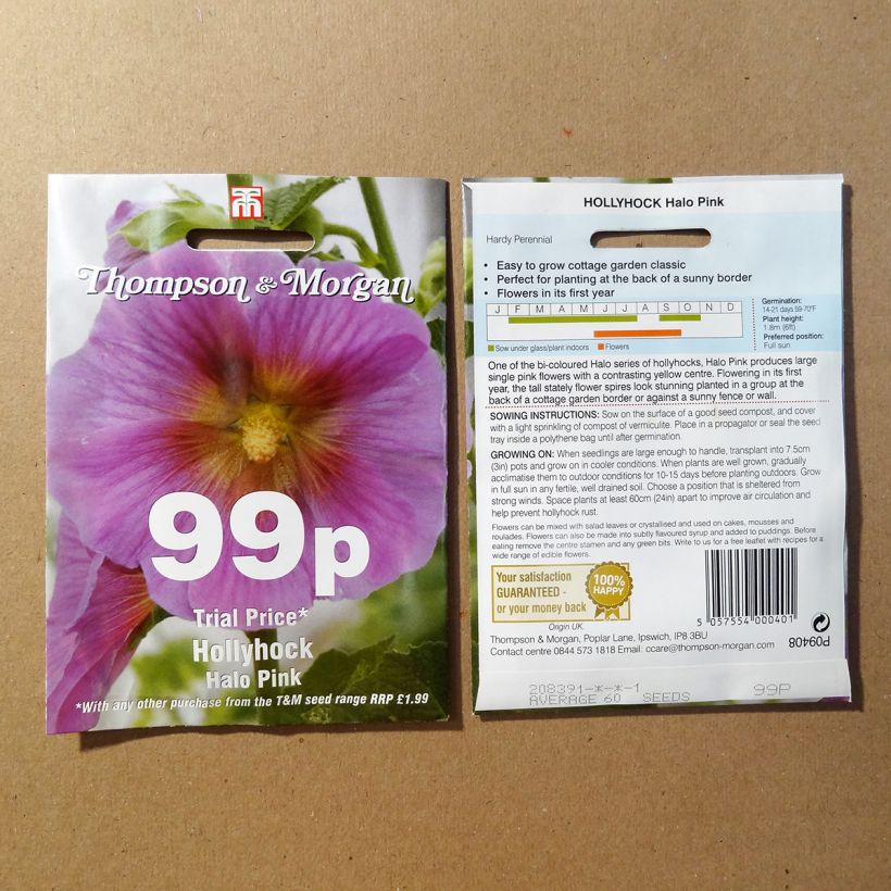 Esempio di esemplare Alcea rosea Halo Pink - Malvarosa sacchetto di semi 25 come consegnato