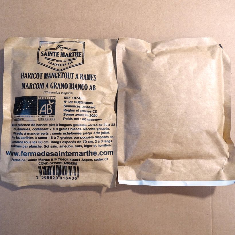 Esempio di esemplare Fagiolo rampicante Marconi a Grano Bianco sacchetto di semi 160 (80g) come consegnato
