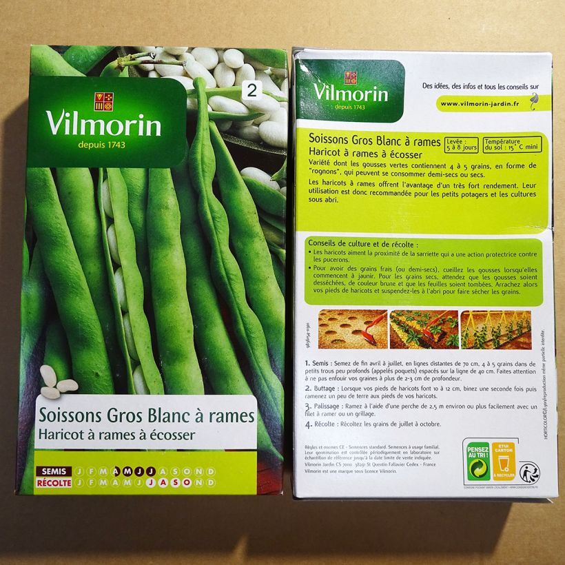Esempio di esemplare Fagiolo rampicante da sgranare Soissons gros blanc - Vilmorin sacchetto di semi 400 (200g) come consegnato