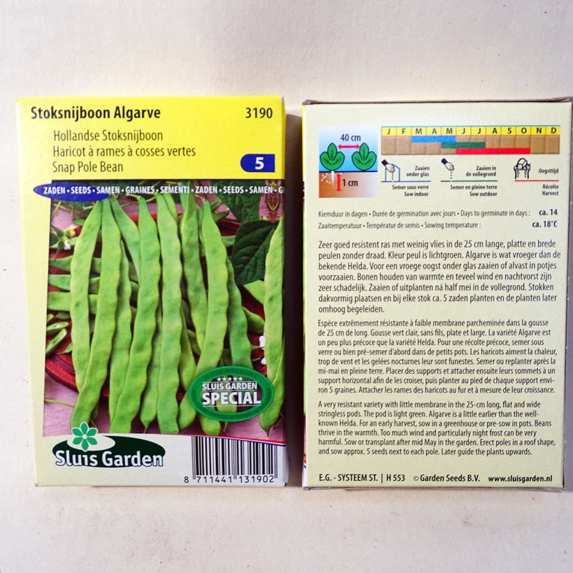 Esempio di esemplare Fagiolo rampicante Algarve sacchetto di semi 170 (85g) come consegnato