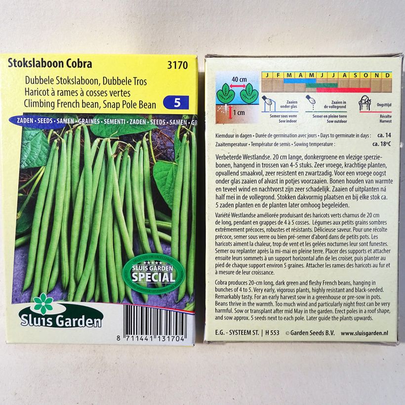 Esempio di esemplare Fagiolo rampicante Cobra sacchetto di semi 130 (65g) come consegnato