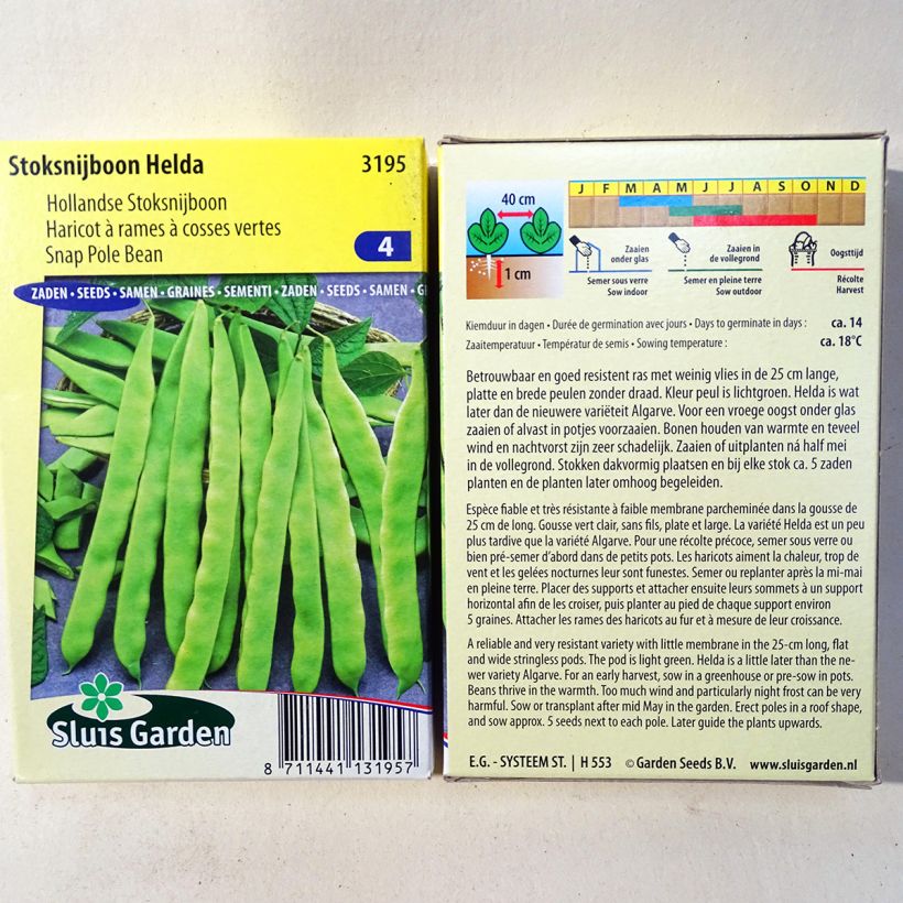 Esempio di esemplare Fagiolo rampicante Helda sacchetto di semi 150 (85g) come consegnato