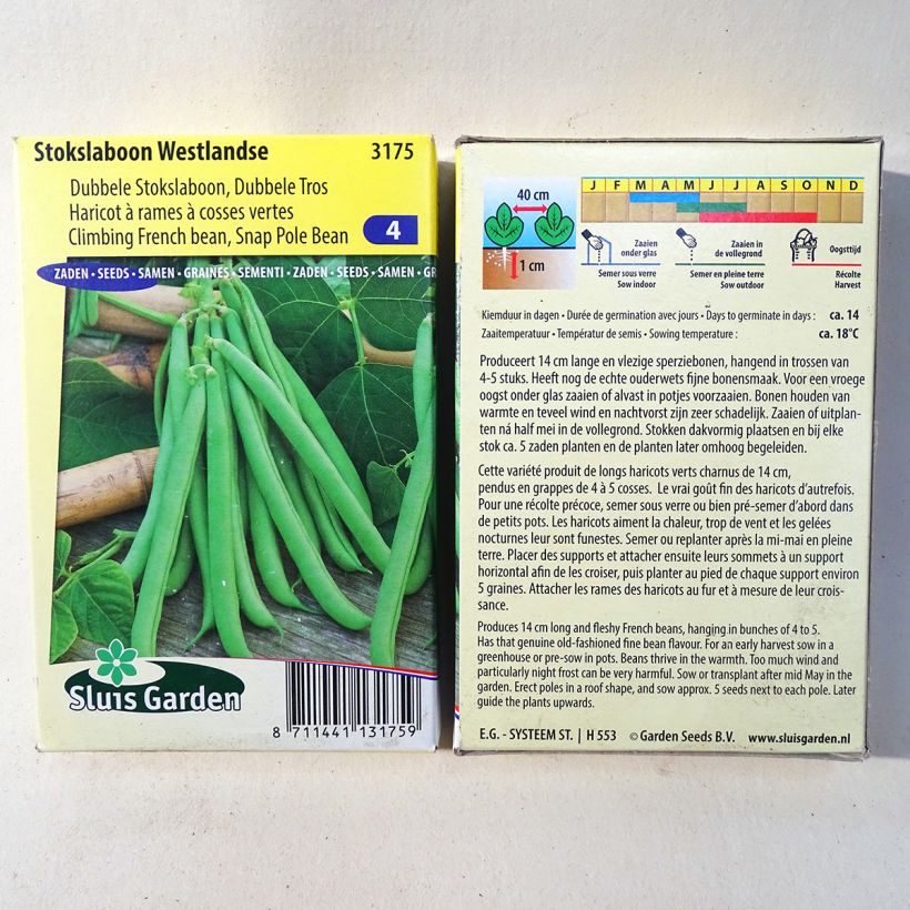 Esempio di esemplare Fagiolo rampicante Westlandse sacchetto di semi 200 (100g) come consegnato