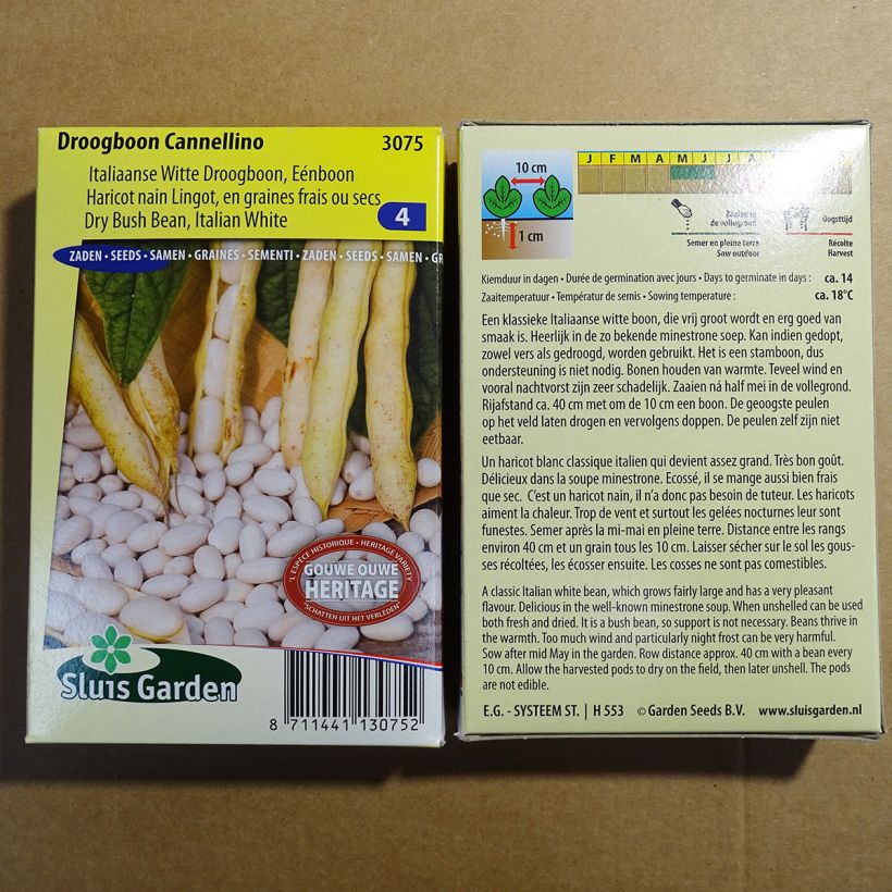 Esempio di esemplare Fagiolo da sgranare Cannellino sacchetto di semi 200 (100g) come consegnato