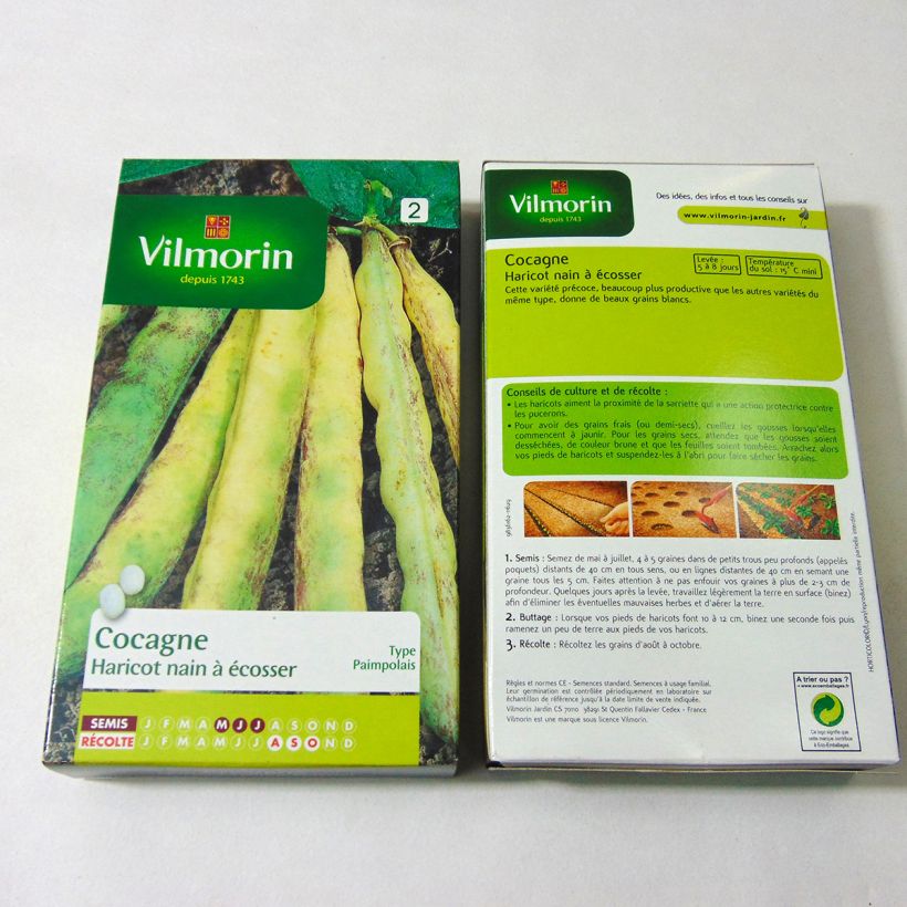 Esempio di esemplare Fagiolo da sgranare Cocagne - Vilmorin sacchetto di semi 400 (200g) come consegnato