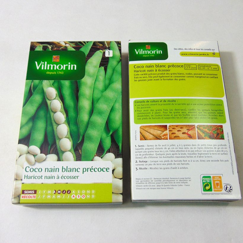 Esempio di esemplare Fagiolo da sgranare - Vilmorin sacchetto di semi 400 (200g) come consegnato