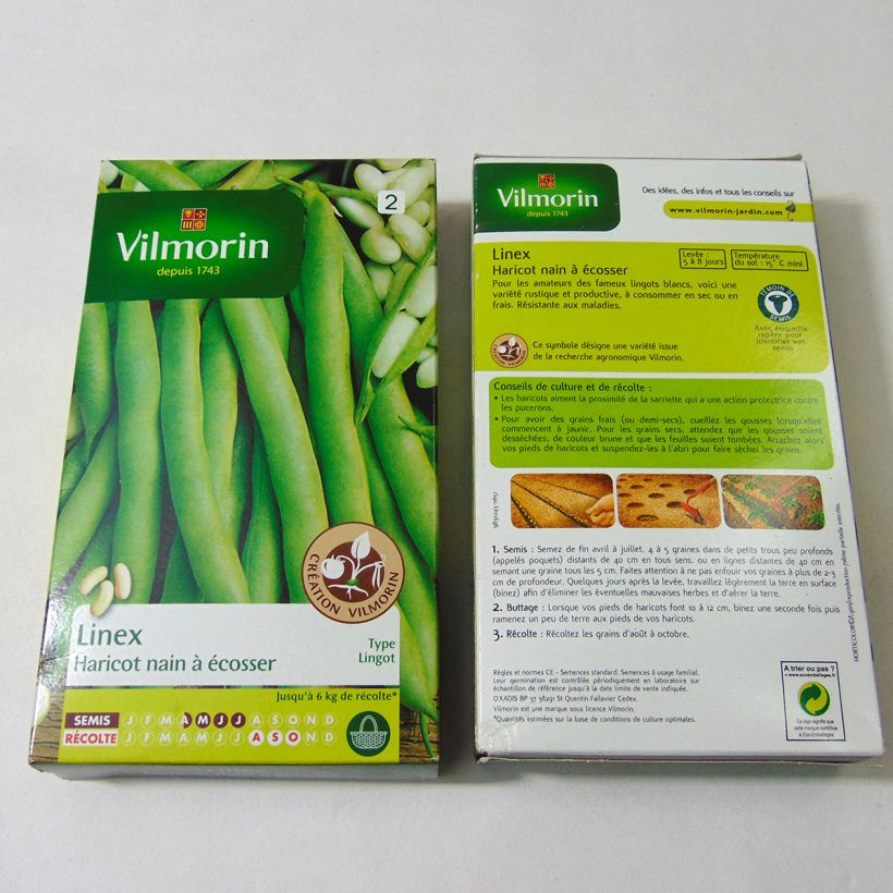 Esempio di esemplare Fagiolo da sgranare Linex sacchetto di semi 400 (200g) come consegnato