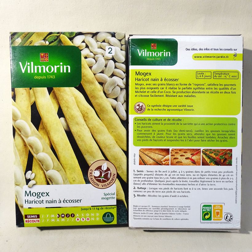 Esempio di esemplare Fagiolo da sgranare Mogex sacchetto di semi 75 (90g) come consegnato