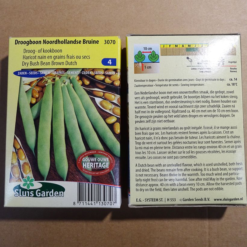 Esempio di esemplare Fagiolo da sgranare Noordhollandse Bruine sacchetto di semi 200 (100g) come consegnato
