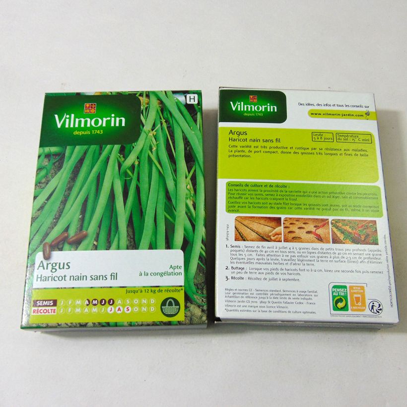 Esempio di esemplare Fagiolino Argus - Vilmorin sacchetto di semi 200 (100g) come consegnato