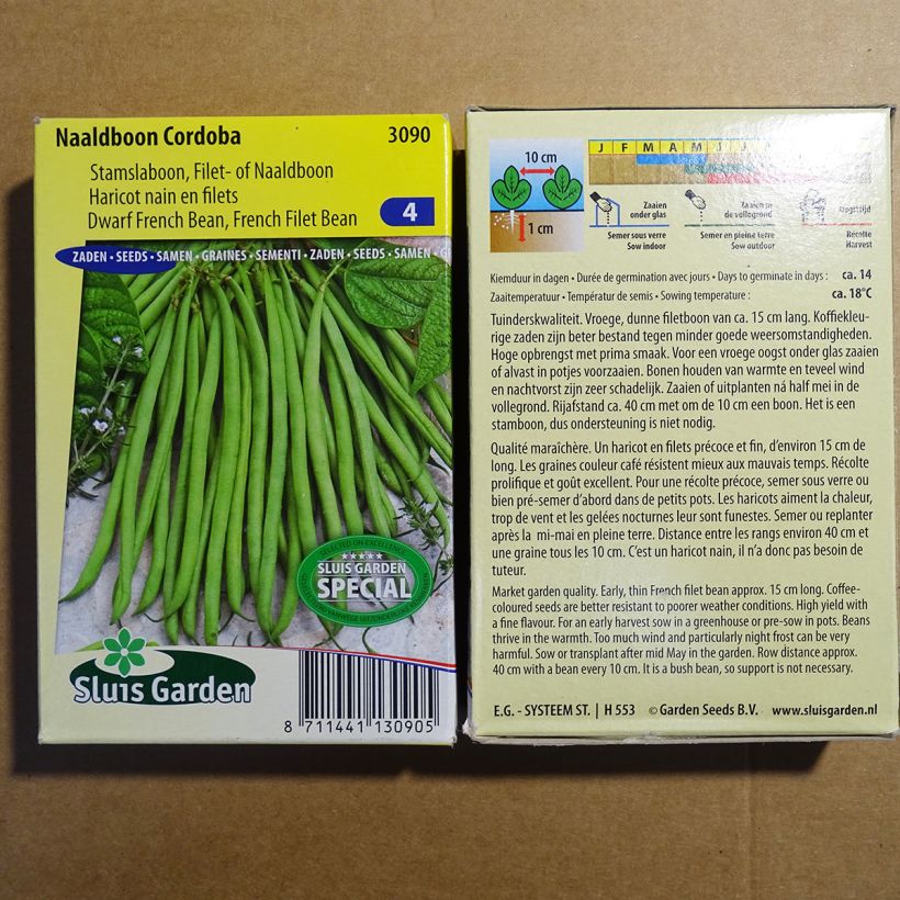 Esempio di esemplare Fagiolo nano Cordoba sacchetto di semi 150 (75g) come consegnato