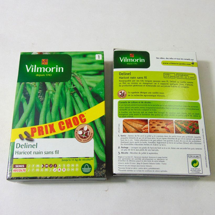 Esempio di esemplare Fagiolino Delinel - Vilmorin sacchetto di semi 280 (140g) come consegnato
