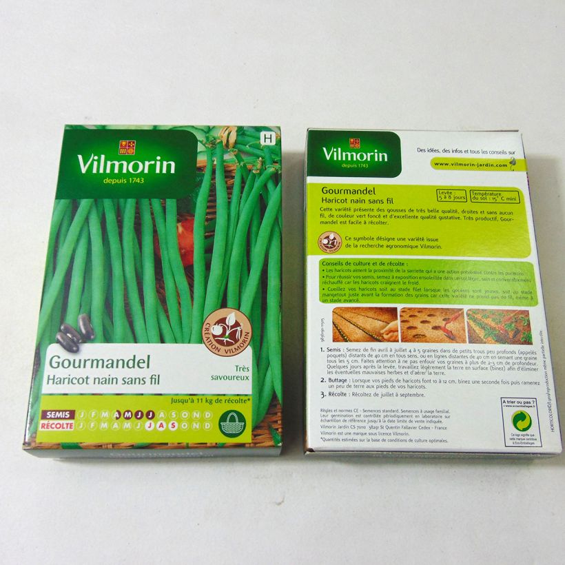 Esempio di esemplare Fagiolo nano Gourmandel sacchetto di semi 200 (100g) come consegnato