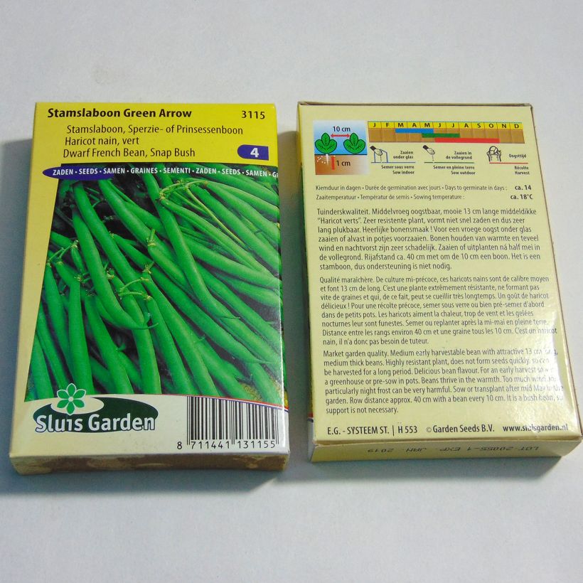 Esempio di esemplare Fagiolo nano Green Arrow sacchetto di semi 150 (75g) come consegnato