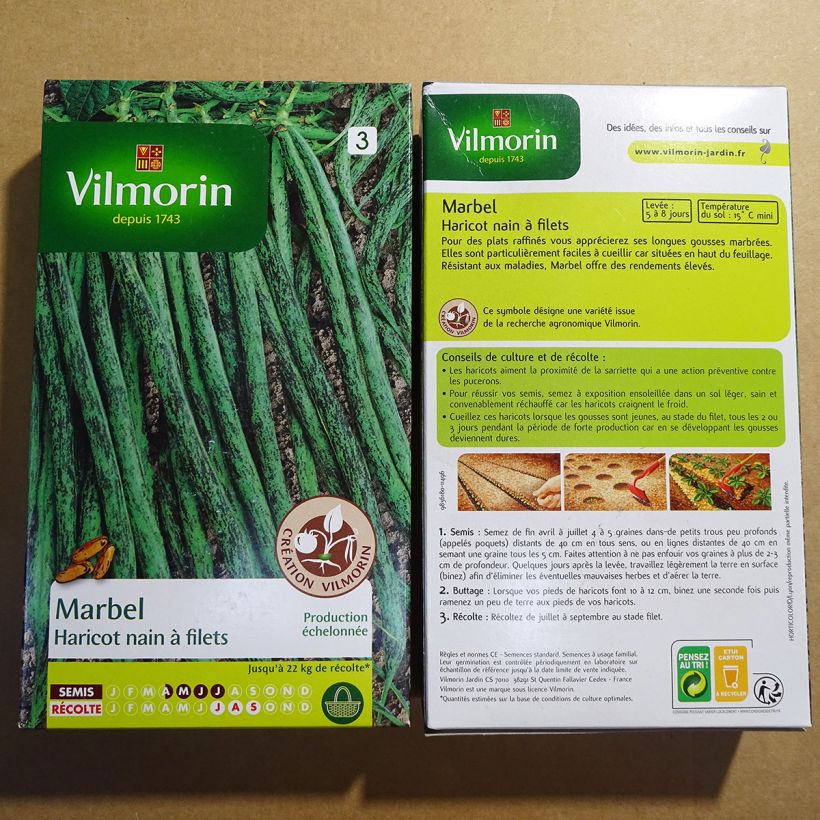 Esempio di esemplare Fagiolo nano Marbel sacchetto di semi 400 (200g) come consegnato