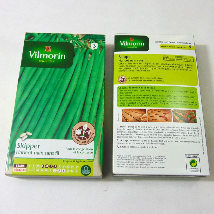Esempio di esemplare Fagiolo nano Skipper sacchetto di semi 400 (200g) come consegnato