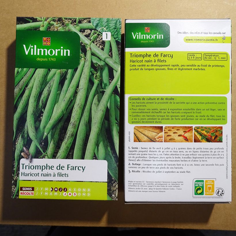 Esempio di esemplare Fagiolino Triomphe de Farcy - Vilmorin sacchetto di semi 500 (250g) come consegnato