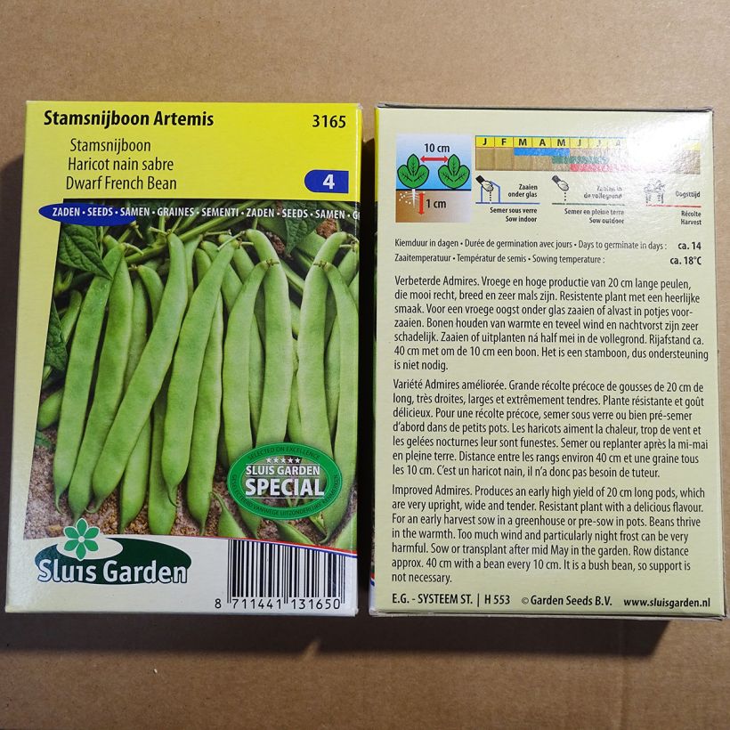Esempio di esemplare Fagiolo nano Artemis sacchetto di semi 200 (100g) come consegnato