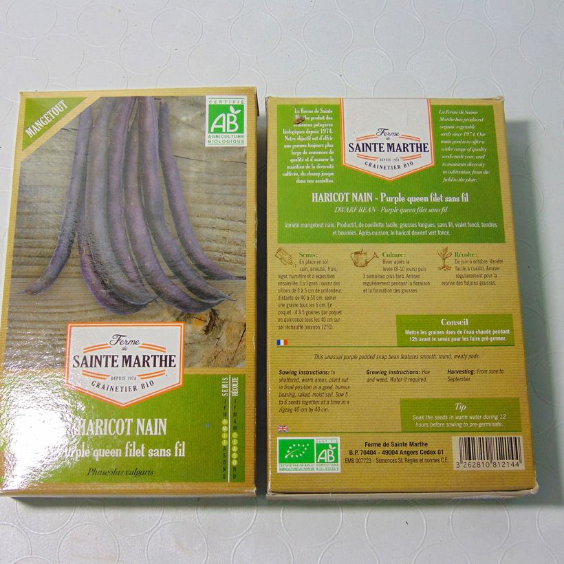 Esempio di esemplare Fagiolo nano Purple Queen Bio - Ferme de Sainte Marthe sacchetto di semi 160 (80g) come consegnato