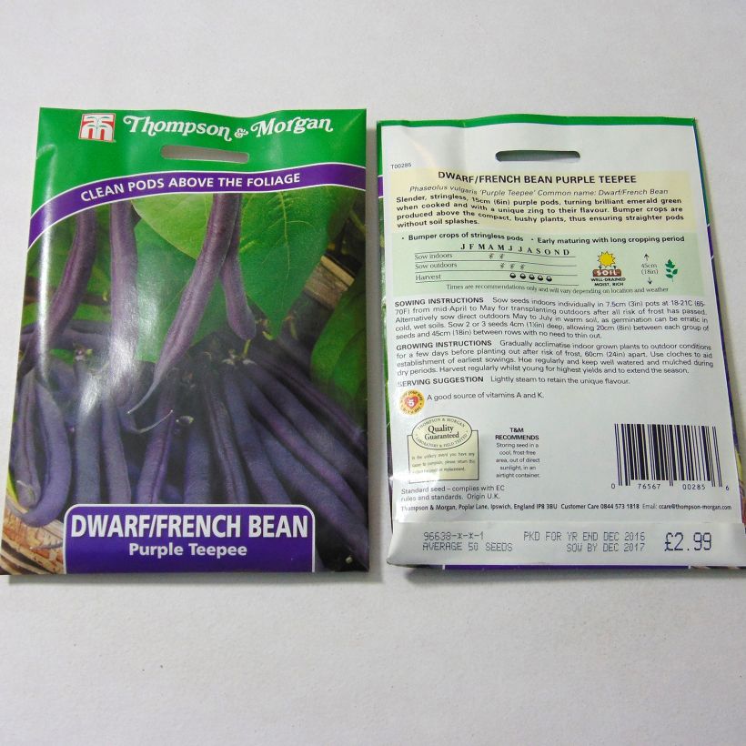 Esempio di esemplare Fagiolo nano Purple Teepee sacchetto di semi 50 come consegnato