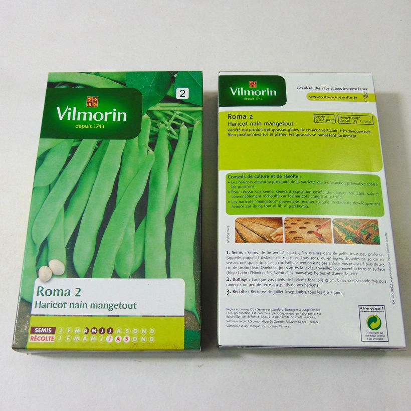 Esempio di esemplare Fagiolo nano Roma 2 sacchetto di semi 300 (150g) come consegnato