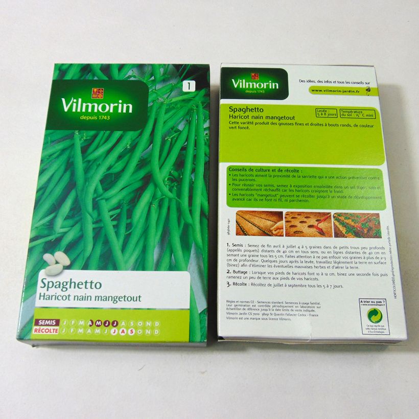 Esempio di esemplare Fagiolo nano Spaghetto sacchetto di semi 350 (175g) come consegnato